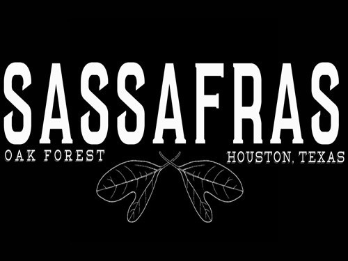 Sassafras